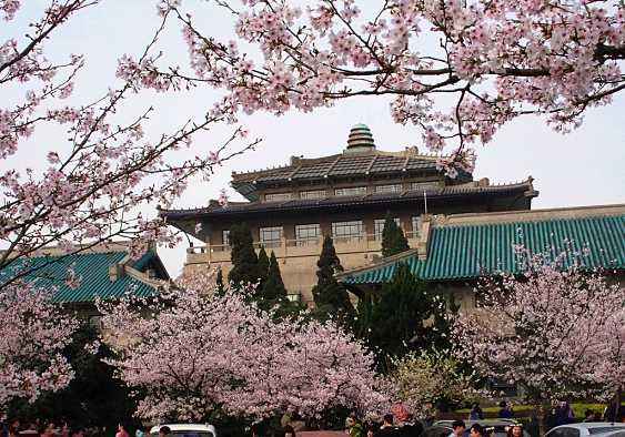 櫻花節(jié)