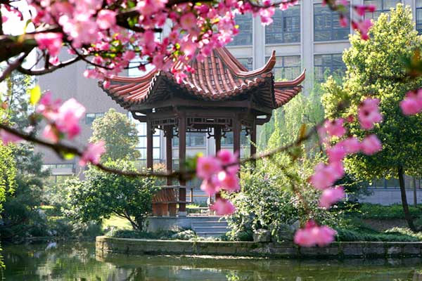 校園風光