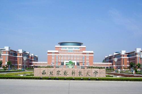 校園風光