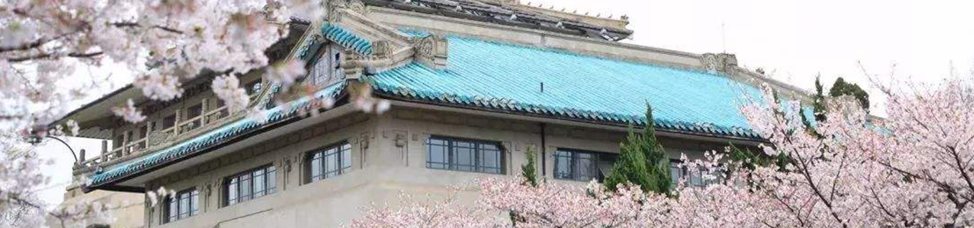 武漢大學干部培訓