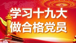 黨員公務人員在河北公務人員網(wǎng)絡學院學習后的心得