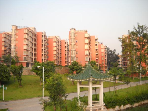華南農業大學