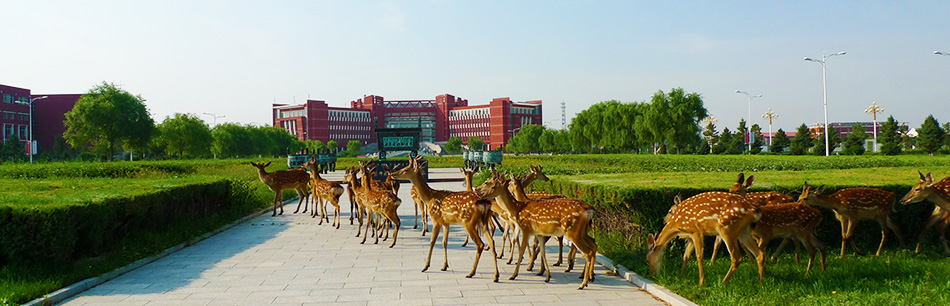 風景1